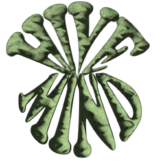 The Hive Mind